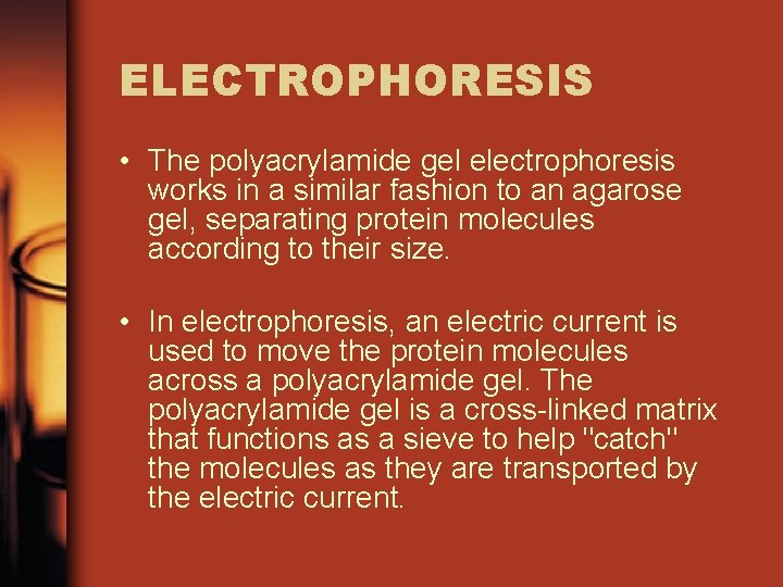 ELECTROPHORESIS • The polyacrylamide gel electrophoresis works in a similar fashion to an agarose