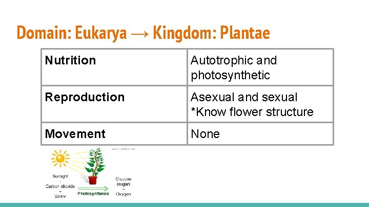 Domain: Eukarya → Kingdom: Plantae Nutrition Autotrophic and photosynthetic Reproduction Asexual and sexual *Know