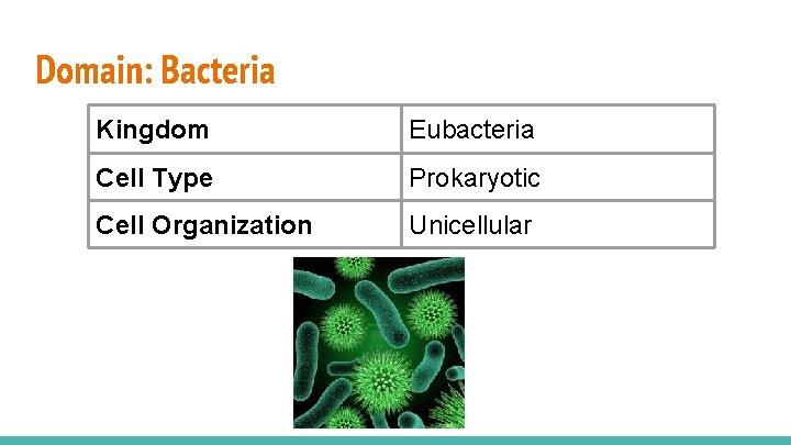 Domain: Bacteria Kingdom Eubacteria Cell Type Prokaryotic Cell Organization Unicellular 