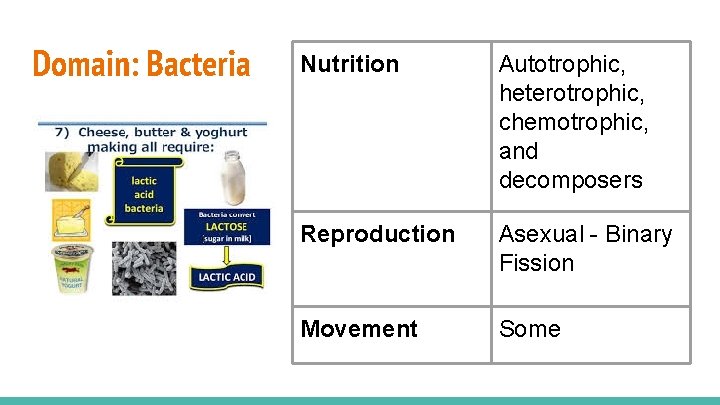 Domain: Bacteria Nutrition Autotrophic, heterotrophic, chemotrophic, and decomposers Reproduction Asexual - Binary Fission Movement
