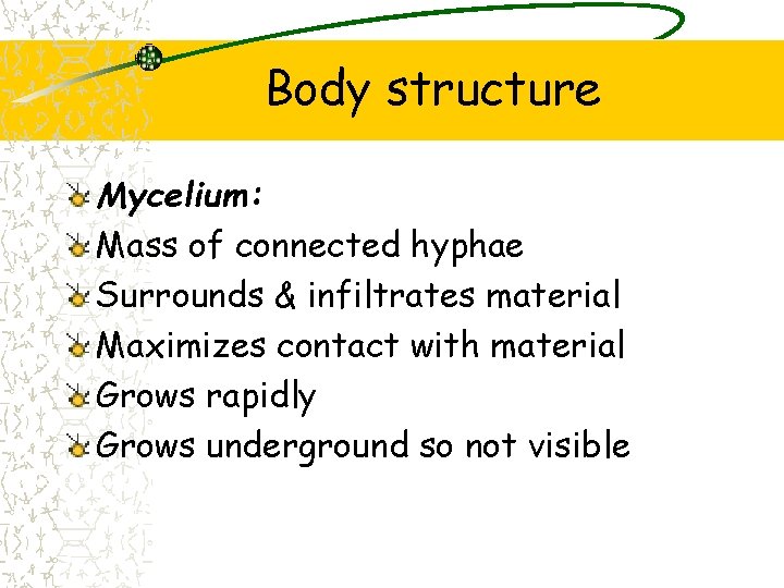 Body structure Mycelium: Mass of connected hyphae Surrounds & infiltrates material Maximizes contact with