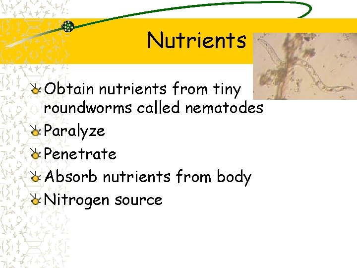 Nutrients Obtain nutrients from tiny roundworms called nematodes Paralyze Penetrate Absorb nutrients from body