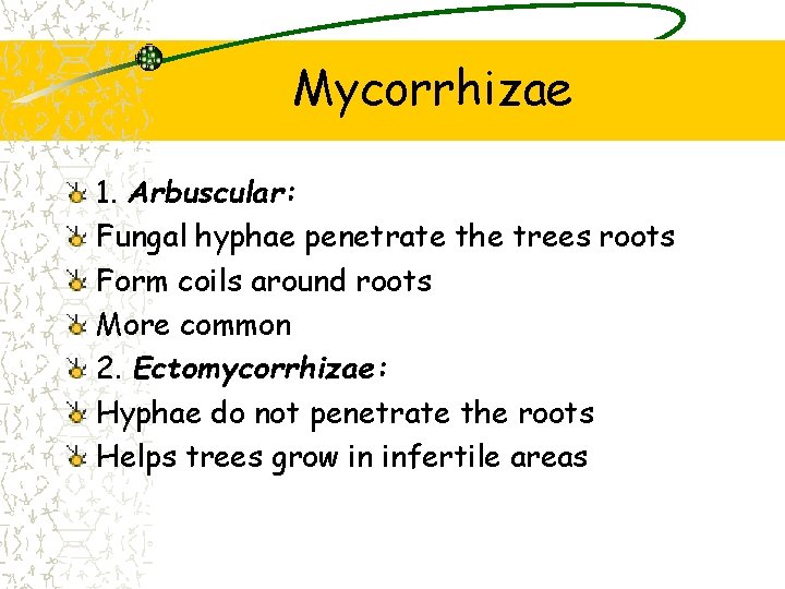 Mycorrhizae 1. Arbuscular: Fungal hyphae penetrate the trees roots Form coils around roots More