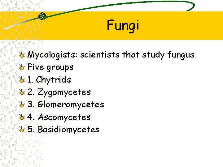 Fungi Mycologists: scientists that study fungus Five groups 1. Chytrids 2. Zygomycetes 3. Glomeromycetes
