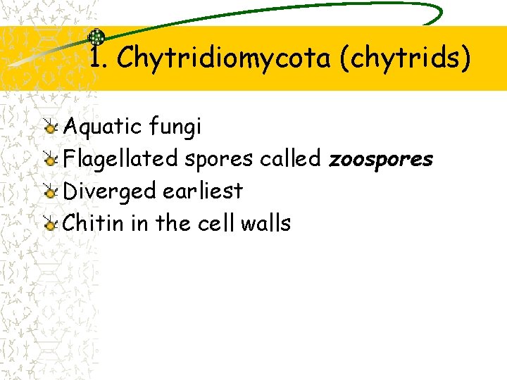 1. Chytridiomycota (chytrids) Aquatic fungi Flagellated spores called zoospores Diverged earliest Chitin in the