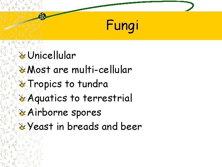 Fungi Unicellular Most are multi-cellular Tropics to tundra Aquatics to terrestrial Airborne spores Yeast