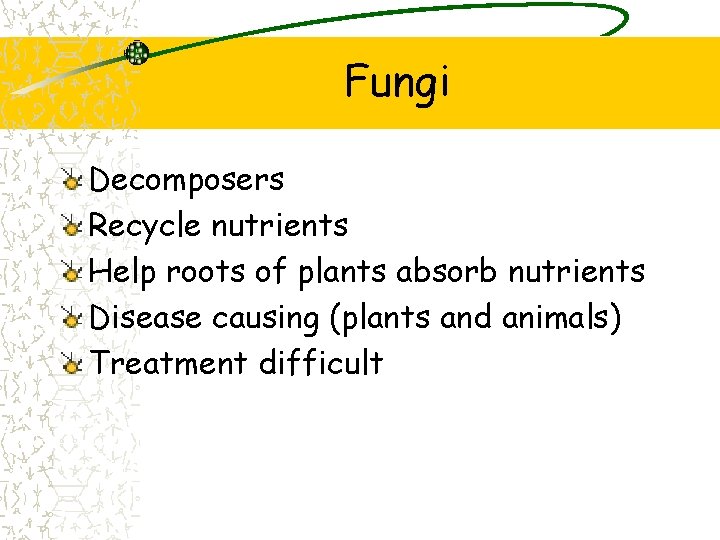 Fungi Decomposers Recycle nutrients Help roots of plants absorb nutrients Disease causing (plants and