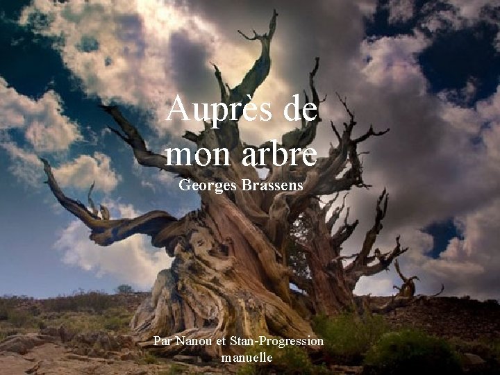 Auprès de mon arbre Georges Brassens Par Nanou et Stan-Progression manuelle 