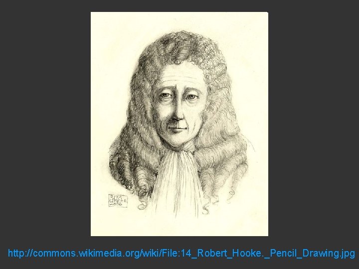 http: //commons. wikimedia. org/wiki/File: 14_Robert_Hooke. _Pencil_Drawing. jpg 