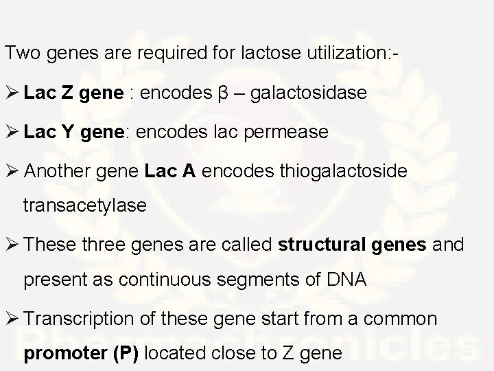 Two genes are required for lactose utilization: - Ø Lac Z gene : encodes