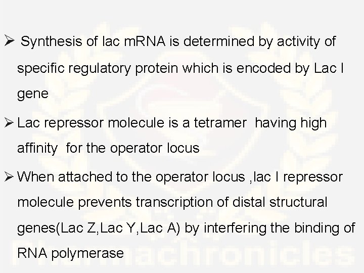 Ø Synthesis of lac m. RNA is determined by activity of specific regulatory protein