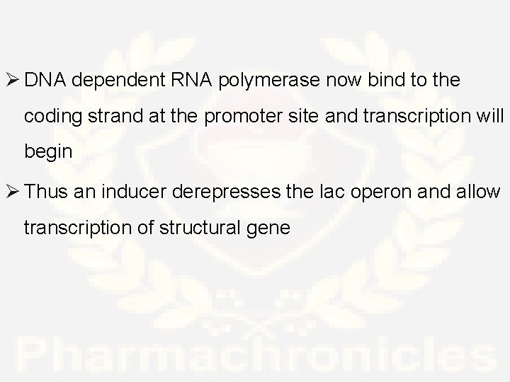 Ø DNA dependent RNA polymerase now bind to the coding strand at the promoter