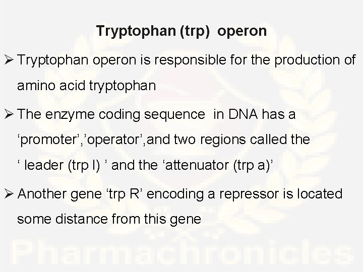 Tryptophan (trp) operon Ø Tryptophan operon is responsible for the production of amino acid