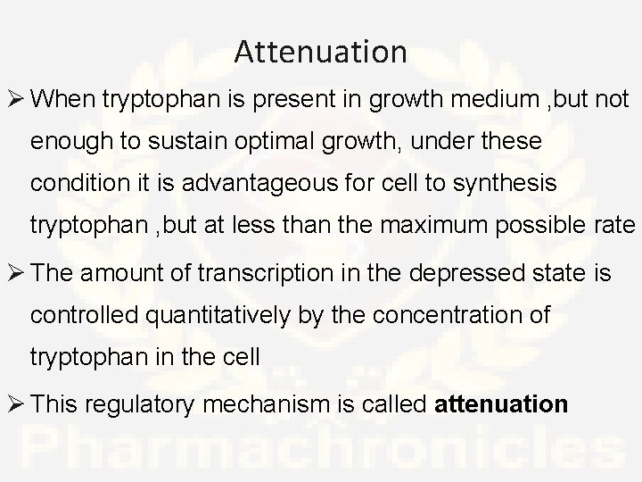 Attenuation Ø When tryptophan is present in growth medium , but not enough to