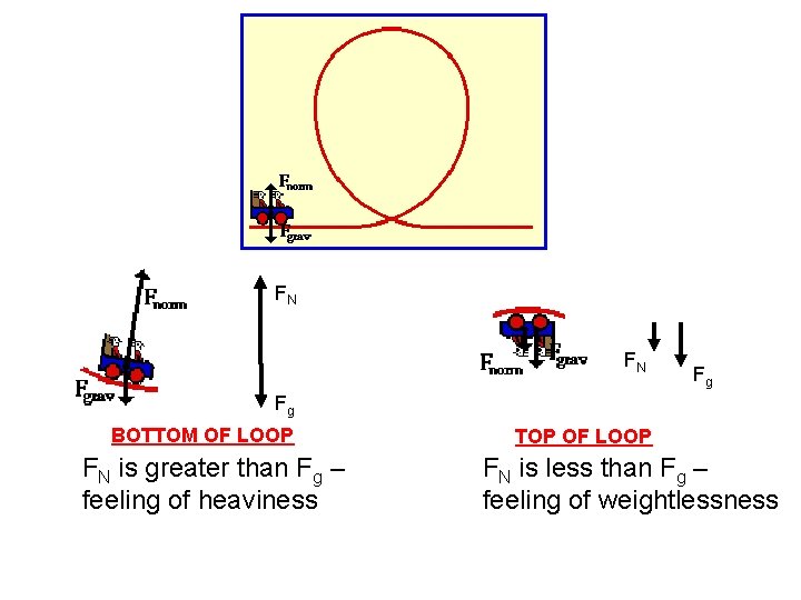 FN FN Fg Fg BOTTOM OF LOOP FN is greater than Fg – feeling