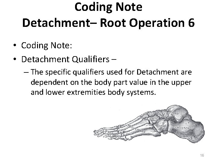 Coding Note Detachment– Root Operation 6 • Coding Note: • Detachment Qualifiers – –