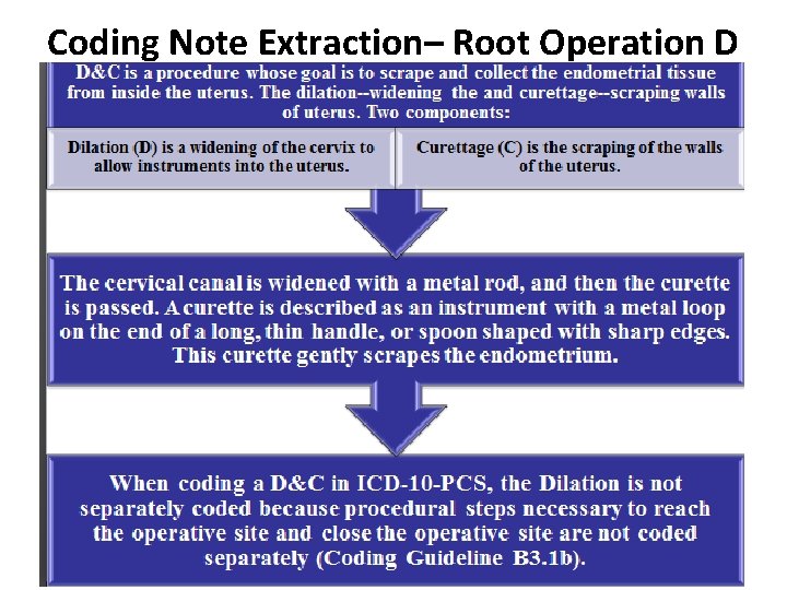 Coding Note Extraction– Root Operation D 23 