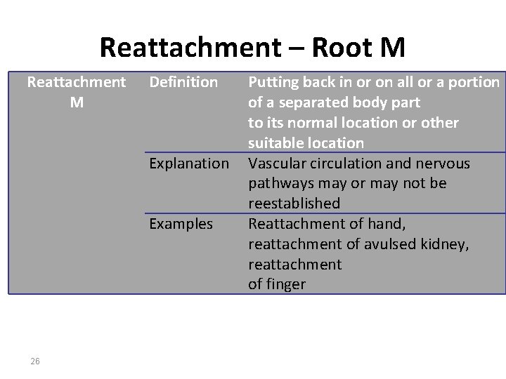Reattachment – Root M Reattachment M Definition Explanation Examples 26 Putting back in or