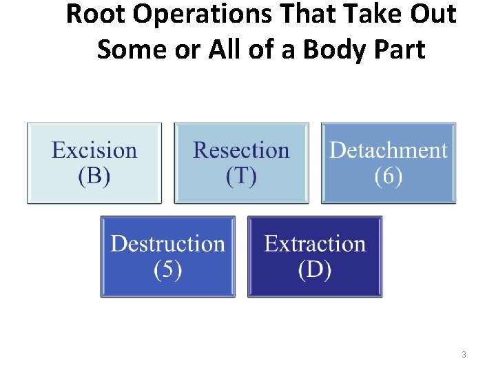 Root Operations That Take Out Some or All of a Body Part 3 