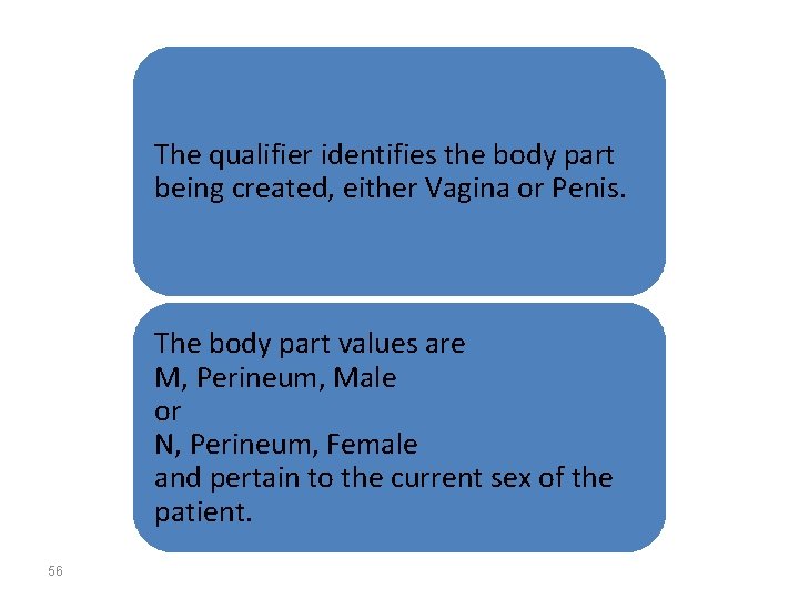 The qualifier identifies the body part being created, either Vagina or Penis. The body
