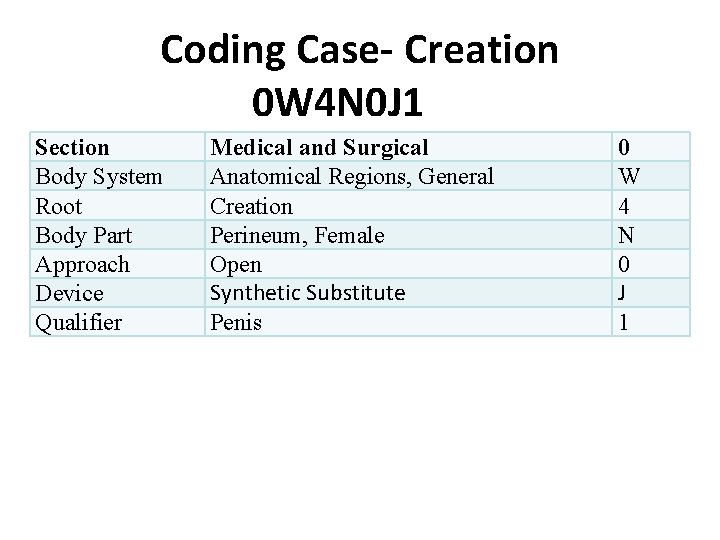 Coding Case- Creation 0 W 4 N 0 J 1 Section Body System Root