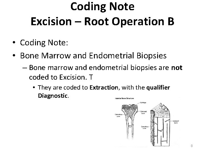 Coding Note Excision – Root Operation B • Coding Note: • Bone Marrow and