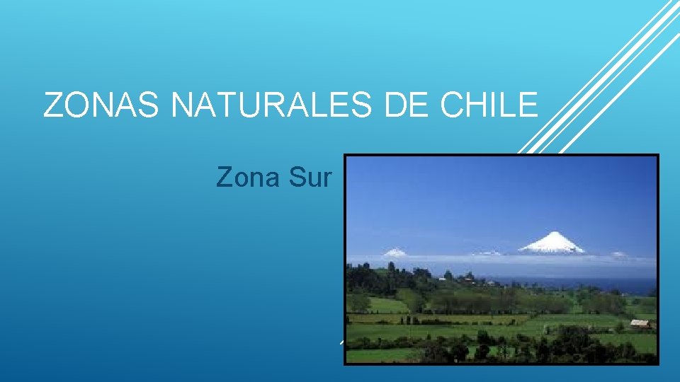 ZONAS NATURALES DE CHILE Zona Sur 