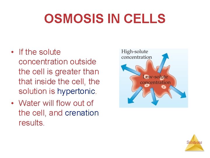 OSMOSIS IN CELLS • If the solute concentration outside the cell is greater than