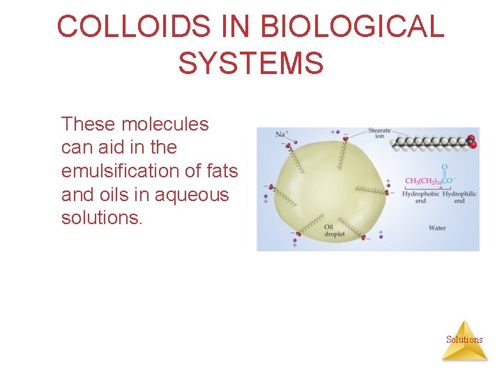 COLLOIDS IN BIOLOGICAL SYSTEMS These molecules can aid in the emulsification of fats and