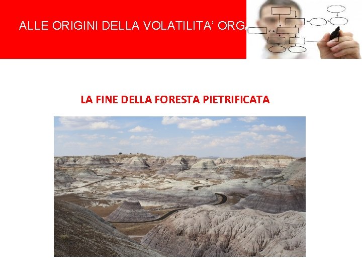 ALLE ORIGINI DELLA VOLATILITA’ ORGANIZZATIVA LA FINE DELLA FORESTA PIETRIFICATA 