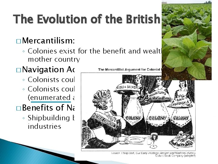 The Evolution of the British Empire � Mercantilism: ◦ Colonies exist for the benefit The Evolution of the British Empire � Mercantilism: ◦ Colonies exist for the benefit