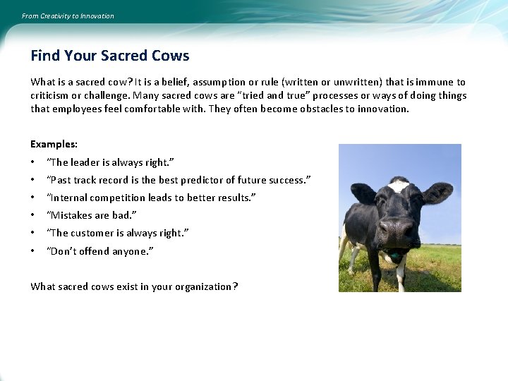 From Creativity to Innovation Find Your Sacred Cows What is a sacred cow? It