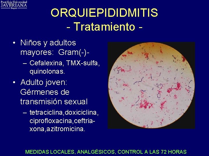 ORQUIEPIDIDMITIS - Tratamiento • Niños y adultos mayores: Gram(-)– Cefalexina, TMX-sulfa, quinolonas. • Adulto