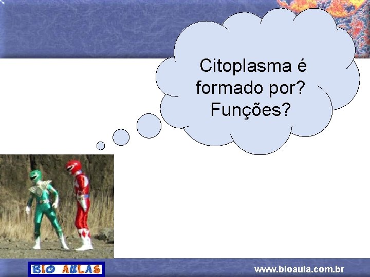 Citoplasma é formado por? Funções? www. bioaula. com. br 