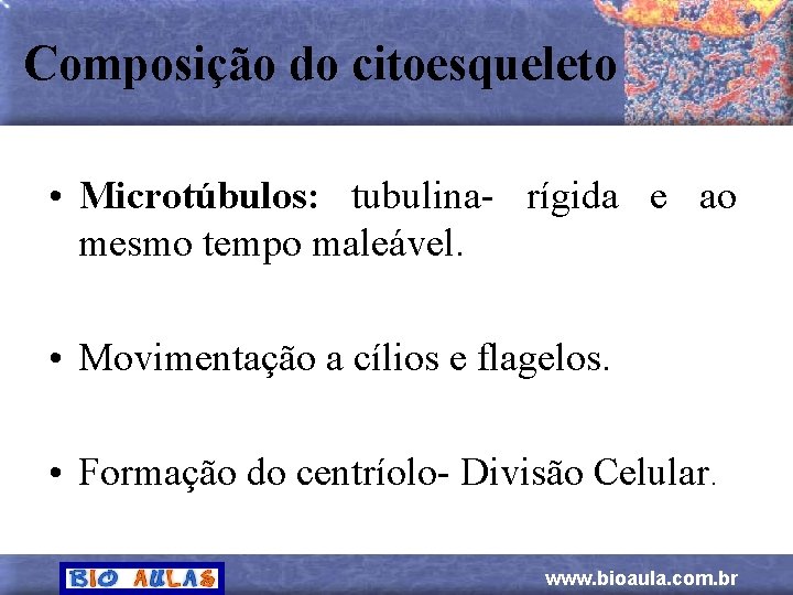 Composição do citoesqueleto • Microtúbulos: tubulina- rígida e ao mesmo tempo maleável. • Movimentação