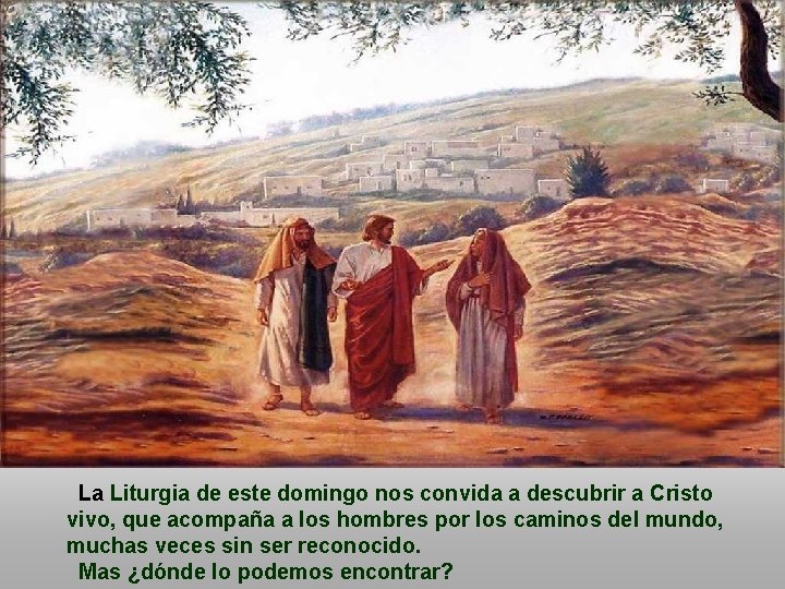 La Liturgia de este domingo nos convida a descubrir a Cristo vivo, que acompaña