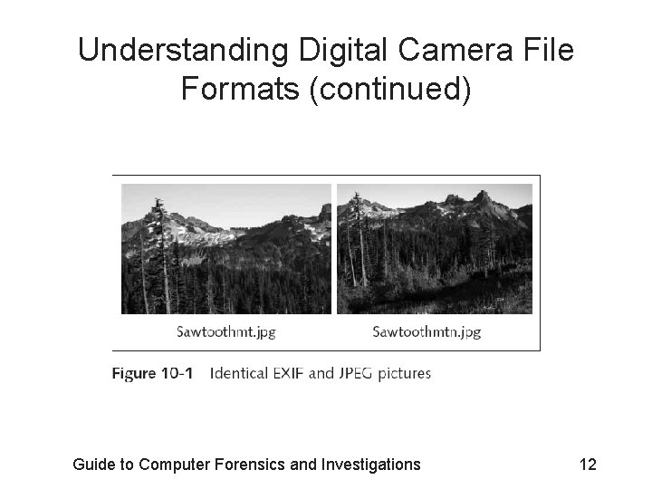 Understanding Digital Camera File Formats (continued) Guide to Computer Forensics and Investigations 12 