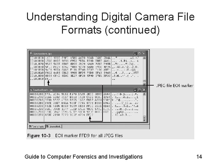Understanding Digital Camera File Formats (continued) Guide to Computer Forensics and Investigations 14 