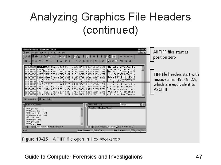 Analyzing Graphics File Headers (continued) Guide to Computer Forensics and Investigations 47 