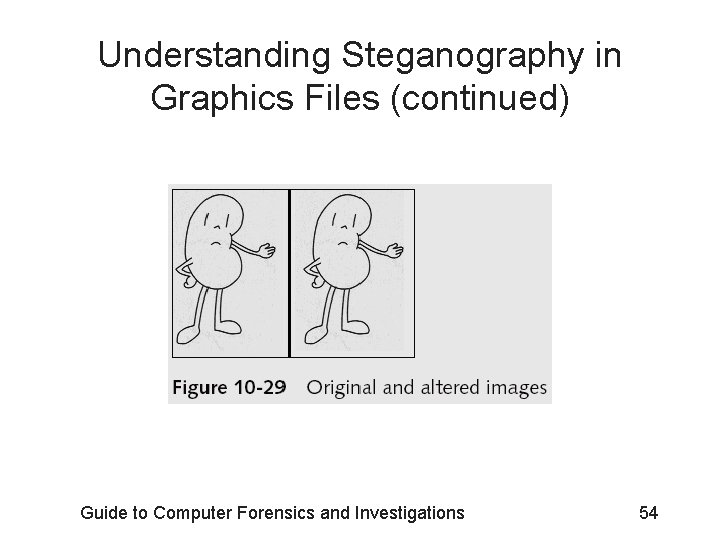 Understanding Steganography in Graphics Files (continued) Guide to Computer Forensics and Investigations 54 