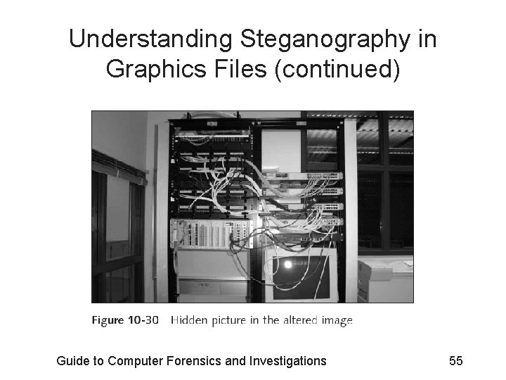 Understanding Steganography in Graphics Files (continued) Guide to Computer Forensics and Investigations 55 