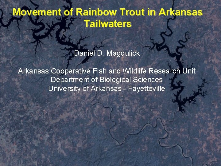 Movement of Rainbow Trout in Arkansas Tailwaters Daniel D. Magoulick Arkansas Cooperative Fish and