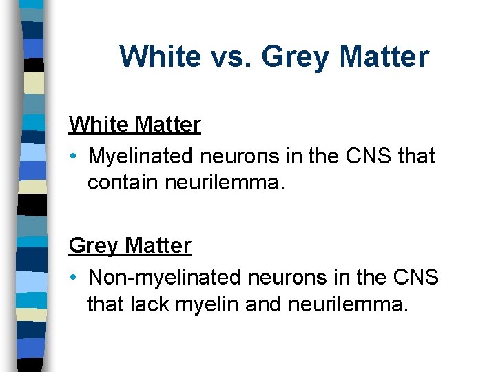 White vs. Grey Matter White Matter • Myelinated neurons in the CNS that contain