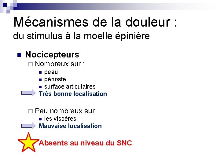 Mécanismes de la douleur : du stimulus à la moelle épinière n Nocicepteurs ¨