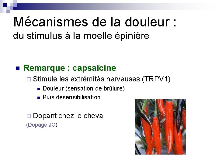 Mécanismes de la douleur : du stimulus à la moelle épinière n Remarque :