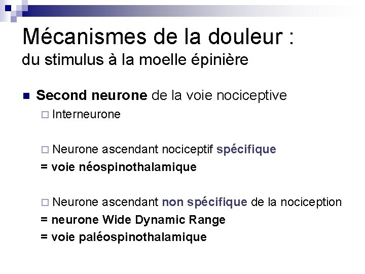 Mécanismes de la douleur : du stimulus à la moelle épinière n Second neurone