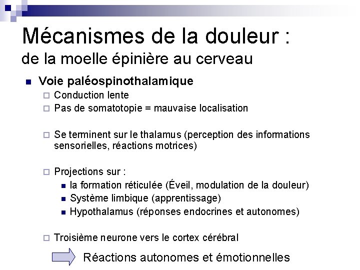 Mécanismes de la douleur : de la moelle épinière au cerveau n Voie paléospinothalamique