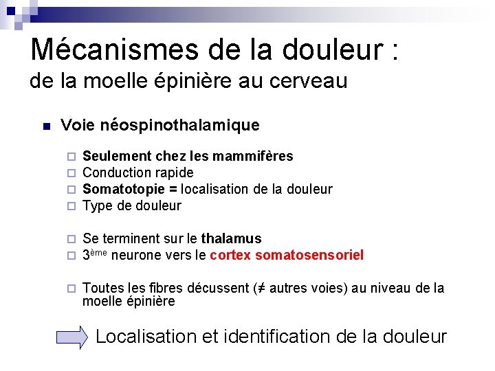 Mécanismes de la douleur : de la moelle épinière au cerveau n Voie néospinothalamique