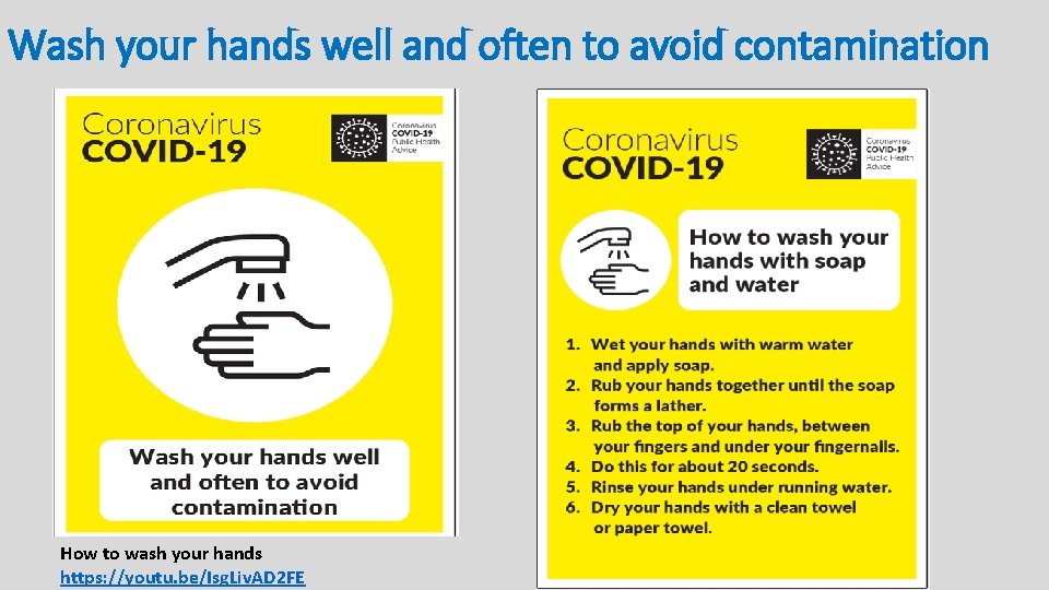 Wash your hands well and often to avoid contamination How to wash your hands