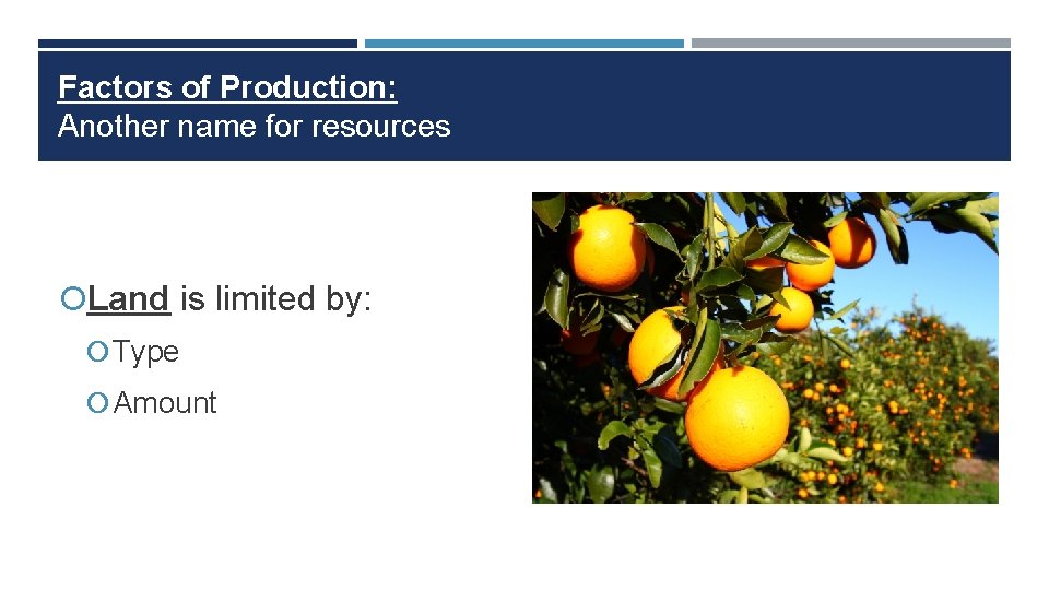 Factors of Production: Another name for resources Land is limited by: Type Amount 